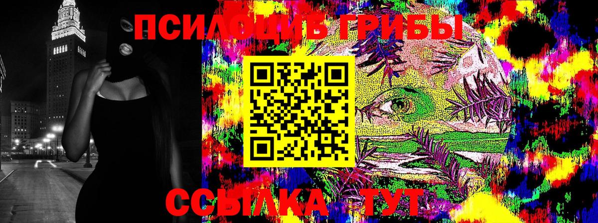 Волжский  Галлюциногенные грибы прущие грибы  Вход с VPN 